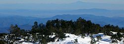 De la neige sur le Mont Aigoual